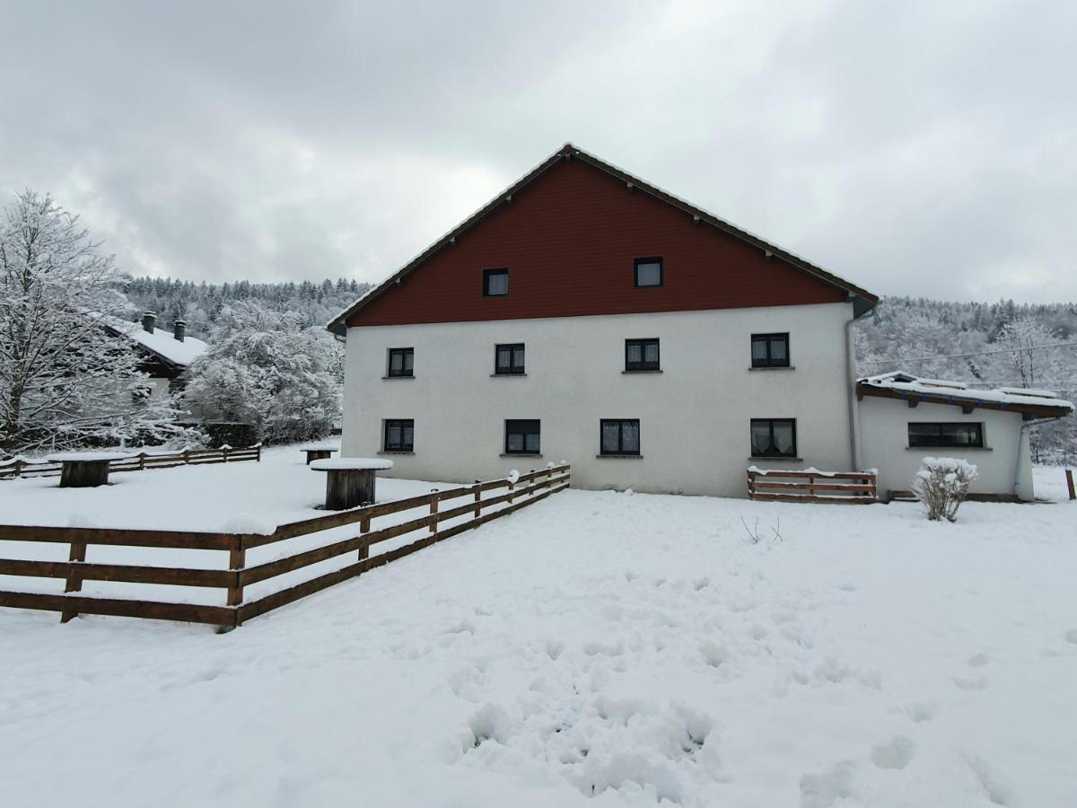 Appart Le Cerf 4 Etoiles 74M2 Cornimont Bagian luar foto